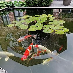 Een dag die voldoening schenkt: afbeelding 1