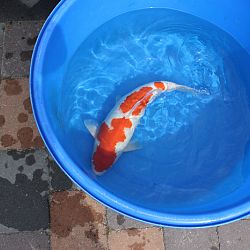 Een dag die voldoening schonk: afbeelding 4