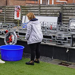 Een dag met veel nieuws: afbeelding 1