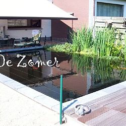 Een dichter in onze rangen: afbeelding 1