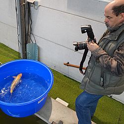Een dikke boterham: afbeelding 1