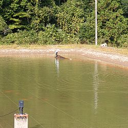 Een echte mudpond vandaag: afbeelding 6