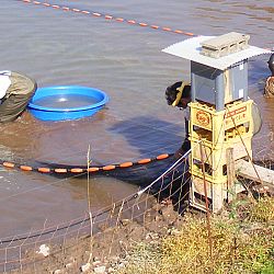 Een echte mudpond vandaag: afbeelding 7