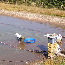 Een echte mudpond vandaag: afbeelding 8
