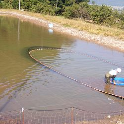 Een echte mudpond vandaag: afbeelding 9