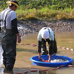 Een echte mudpond vandaag: afbeelding 17