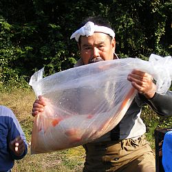 Een echte mudpond vandaag: afbeelding 19