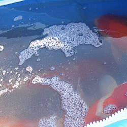 Een echte mudpond vandaag: afbeelding 20