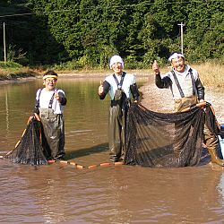 Een echte mudpond vandaag: afbeelding 28