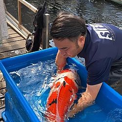 Een eervolle 2de plaats: afbeelding 7