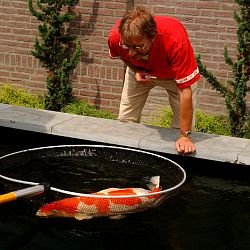 Een fifty-fifty voorstel: afbeelding 3