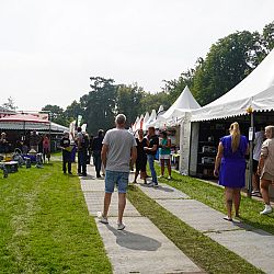 Een gezellige drukte: afbeelding 2