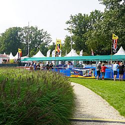 Een gezellige drukte: afbeelding 8