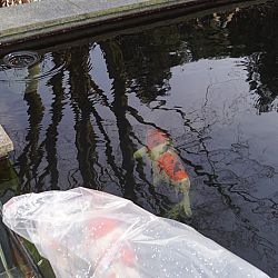Een heerlijk weerzien: afbeelding 1