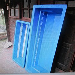 Een heerlijk weerzien: afbeelding 15