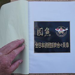 Een historisch boek: afbeelding 1