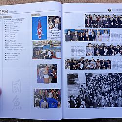 Een historisch boek: afbeelding 34