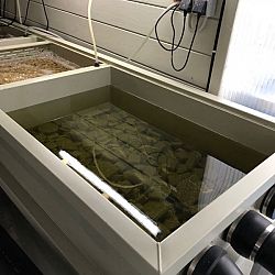 Een laatste poging: afbeelding 5
