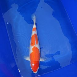 Een leerrijke zaterdag: afbeelding 15