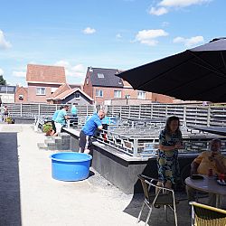 Een lekkere ouderwetse zaterdag: afbeelding 3
