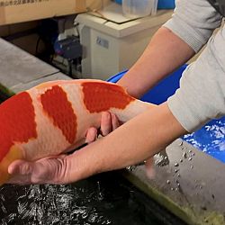 Een namiddag filmpjes maken: afbeelding 1