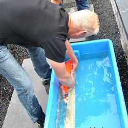Een nieuw proefproject opgestart: afbeelding 1