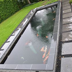 Een nieuw proefproject opgestart: afbeelding 12