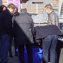 Een onverwachte opkomst: afbeelding 1