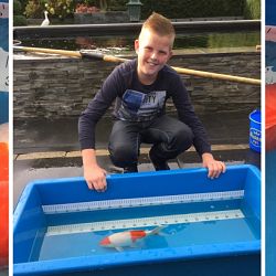 Een oude getrouwe: afbeelding 1