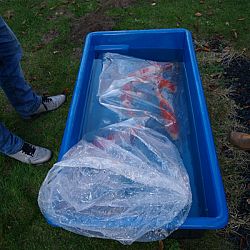 Een persoonlijk winterverblijf: afbeelding 1