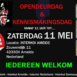 Een showa en een shiro is de score: afbeelding 1