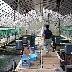 Intakoi Fuit, een onweerstaanbare deal: afbeelding 2