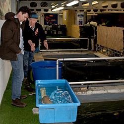 Een spetterende driekleur: afbeelding 4
