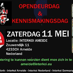 Een succes weekend voor Interkoi: afbeelding 3