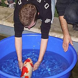 Een Update van Matthijs: afbeelding 2