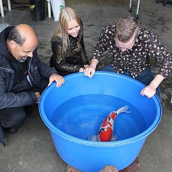 Een Update van Matthijs: afbeelding 1