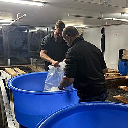 Een vermoeiende avond: afbeelding 8