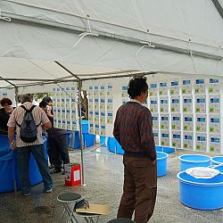 Een verstandige beslissing: afbeelding 3