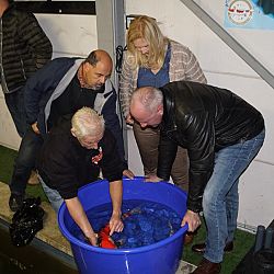 Een vruchtbare zaterdag: afbeelding 1