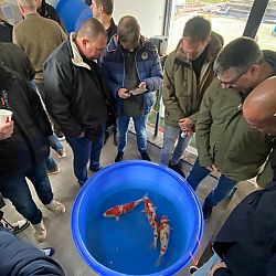 Een waardige opvolger: afbeelding 2