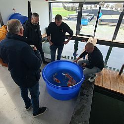 Een waardige opvolger: afbeelding 10