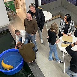 Een waardige opvolger: afbeelding 1
