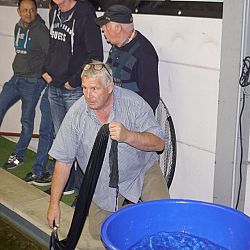 Een weerbarstige zaterdag: afbeelding 5