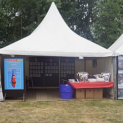 Eerste dag Belgische Koishow: afbeelding 3