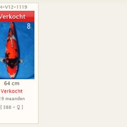 Einde winterperiode en ophalen koi: afbeelding 5