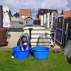 Eindelijk nog eens beweging: afbeelding 2