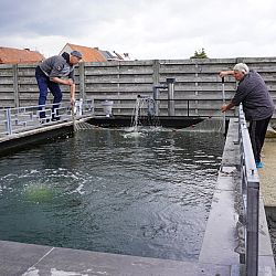 Eindelijk nog eens beweging: afbeelding 5