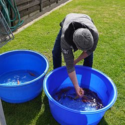Eindelijk nog eens beweging: afbeelding 7