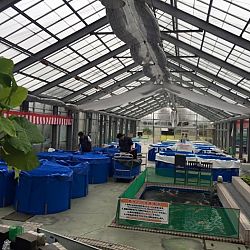 En de strijd gaat verder: afbeelding 1