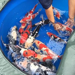 En de strijd gaat verder: afbeelding 2